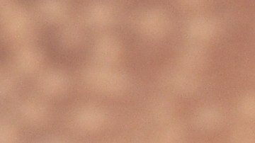 Pequeñas pero poderosas: aunque las semillas de chía son una joya nutricional por su aporte de Omega-3 y fibra, su consumo crudo exige los más altos estándares de inocuidad para evitar riesgos bacteriológicos.