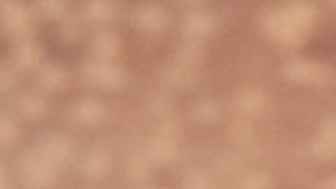 Pequeñas pero poderosas: aunque las semillas de chía son una joya nutricional por su aporte de Omega-3 y fibra, su consumo crudo exige los más altos estándares de inocuidad para evitar riesgos bacteriológicos.