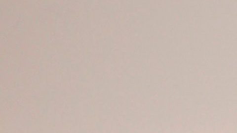 Chiquinquirá Delgado y Jorge Ramos han compartido su vida por más de 15 años.