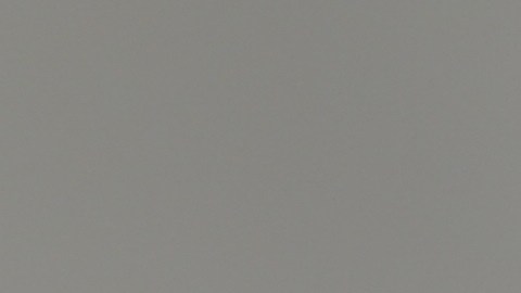 El kiwi puede consumirse con cáscara, lo que aporta más beneficios, aunque muchos no toleran la textura de su piel.