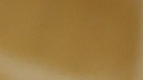 No dejar restos de comida, guardar los alimentos en recipientes herméticos y sacar la basura con frecuencia reduce drásticamente el interés de las ratas y roedores por entrar en tu casa.