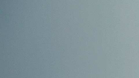 cosas-jamas-llevar-cartera