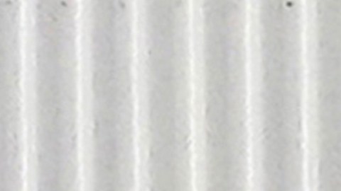 costco-membresia-gastar