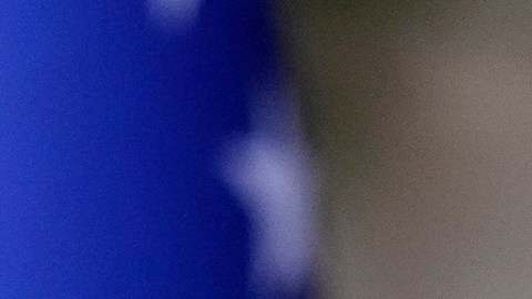 Trump dice que Delcy Rodríguez demuestra un “liderazgo” firme en Venezuela