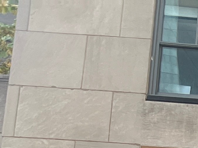 celebraciones federales en NY