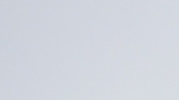 dollar-tree-precios-cambios-2026