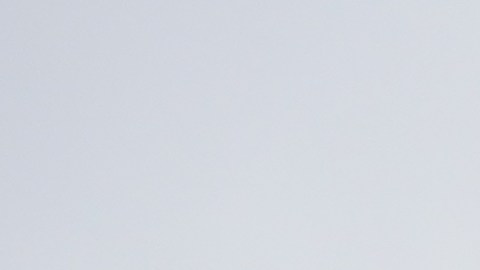 dollar-tree-precios-cambios-2026