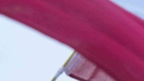 Trump vincula frustración por no recibir el Nobel de la Paz con sus planes sobre Groenlandia