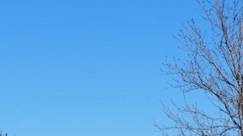 Trump ordena el retiro de agentes federales en protestas de Minneapolis