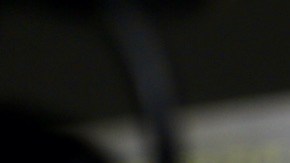 Los señalamientos indicaban que Eiza habría sido considerada en la terna a Peor Actriz de Reparto en los premios Razzies.