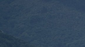 Delcy Rodríguez anuncia amnistía para presos políticos y el cierre del mayor centro de torturas de Venezuela