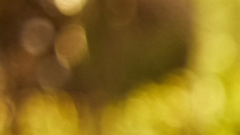 errores-venta-de-casa-demanda