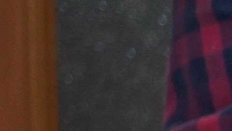 Tanto las cáscaras de banana como el vinagre, blanco o de manzana, cumplen funciones naturales que favorecen tus plantas.