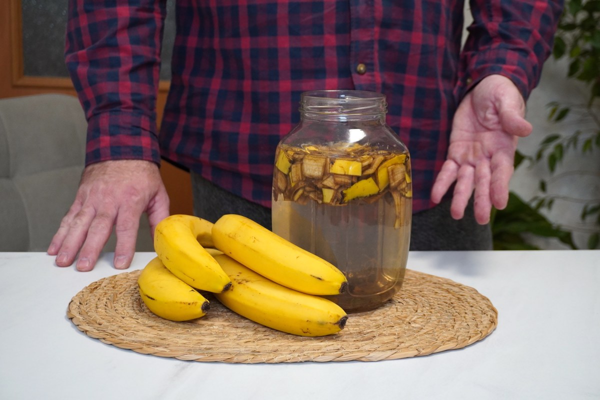 Cáscara de banana con vinagre: por qué puede ser el mejor alimento para tus plantas y cómo prepararlo