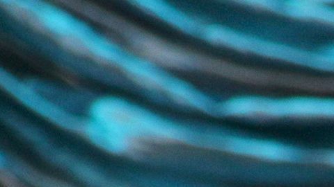 Gloria agregó que acudió de inmediato con especialistas, se realizó diversos estudios médicos y recibió el tratamiento necesario.