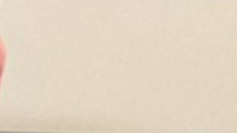 Foto divulgada por ICE del guatemalteco detenido en Massachusetts.