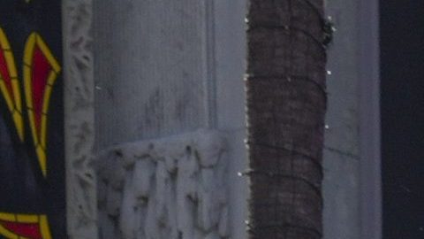 Will Reeve y Amanda Dubin en el estreno de "Superman" en 2025.