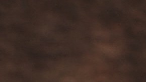 Hongos funcionales como el Shiitake, el Reishi y la Melena de León tienen beneficios terapéuticos respaldados por la ciencia.