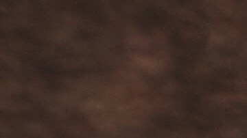 Hongos funcionales como el Shiitake, el Reishi y la Melena de León tienen beneficios terapéuticos respaldados por la ciencia.