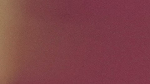 Jodie añadió que su forma de ser también pudo haber contribuido a mantenerse a salvo de abusos.