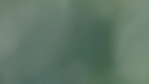 jubilado-millonario-1-millon-en-inversiones