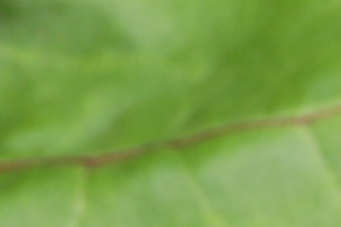 ¿Sabías que un vaso de jugo de remolacha es como un "respiro" profundo para tus neuronas? Su alto contenido en nitratos actúa como un potente vasodilatador, mejorando el flujo sanguíneo y garantizando que el oxígeno llegue a donde más lo necesitas.