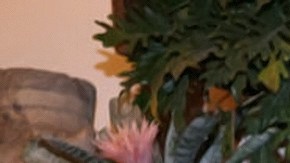 Valeria Marín y Julián Gil mantienen una relación amorosa desde 2020.