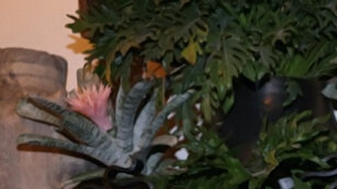 Valeria Marín y Julián Gil mantienen una relación amorosa desde 2020.