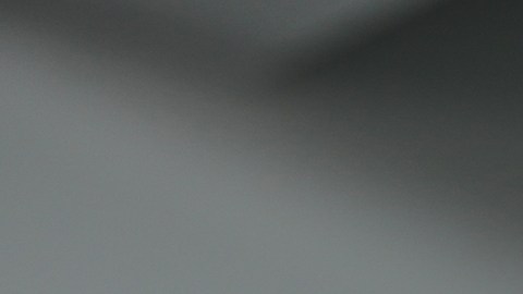 Casa Blanca acusa a Tim Walz y Jacob Frey de alentar a “agitadores de izquierda” a obstruir operativos federales