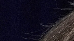 Hochul pide a ICE dar marcha atrás para que la gente busque refugio en Nueva York sin miedo ante la tormenta de nieve