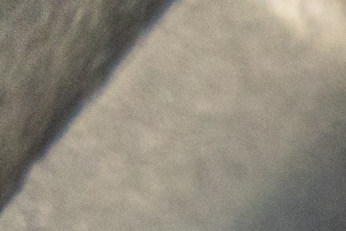 Seguridad alimentaria: Consumidores en California, Indiana y Nevada deben verificar sus cajas de café para evitar efectos secundarios por el error de etiquetado.