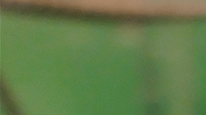 LOTERÍAS NUEVA YORK