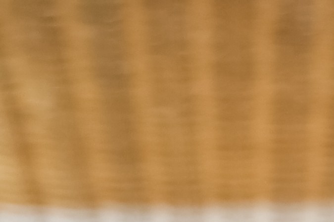 mantener abrigadas a las mascotas