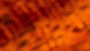 La mantequilla de tuétano combina la cremosidad láctea con la intensidad de la res, creando una textura untable perfecta para sellar cortes de carne premium.