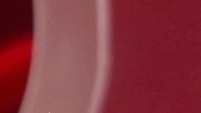 Dellanos expresó respeto y admiración por Myrka tras años de trabajo y amistad compartidos.