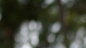 María Corina Machado recuerda tras opinión de Trump que ganó las primarias opositoras con más de 90% de apoyo