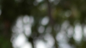 María Corina Machado recuerda tras opinión de Trump que ganó las primarias opositoras con más de 90% de apoyo