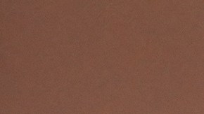 La manifestación ocurre poco después del fallecimiento de Renee Nicole Good, quien murió tras ser baleada por un agente de ICE durante un operativo en Minneapolis.