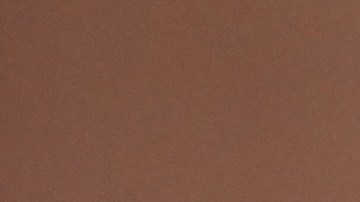 La manifestación ocurre poco después del fallecimiento de Renee Nicole Good, quien murió tras ser baleada por un agente de ICE durante un operativo en Minneapolis.