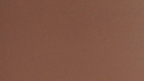 La manifestación ocurre poco después del fallecimiento de Renee Nicole Good, quien murió tras ser baleada por un agente de ICE durante un operativo en Minneapolis.