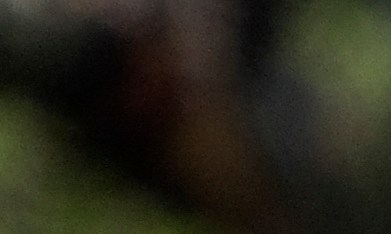 día de martin luther king jr