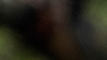 día de martin luther king jr