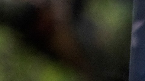 día de martin luther king jr