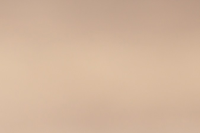 La Melena de León es el nootrópico natural por excelencia, capaz de estimular la regeneración neuronal.