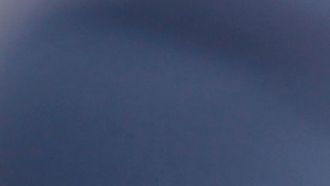 Playera de Milwaukee Brewers.