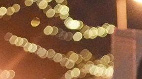 Operativos migratorios del gobierno de Trump en EE.UU. han dejado al menos seis muertes