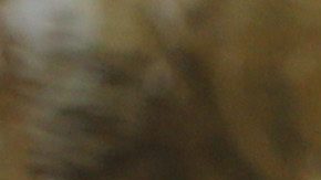 Fans esperan en la 6ta Avenida de Nueva York a que se anuncian las ciudades sedes del Mundial de 2026.