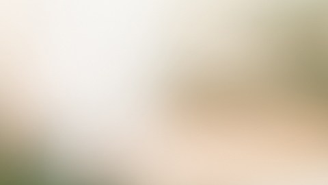 negociar tu sueldo con empleadores en línea