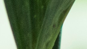 negocios-menos-pagos-en-efectivo