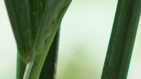 negocios-menos-pagos-en-efectivo